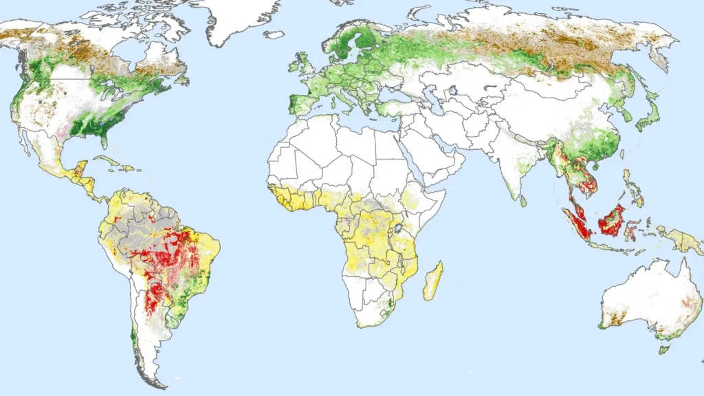 Carte réalisée par la revue Science pour mieux comprendre les causes de la déforestation mondiale