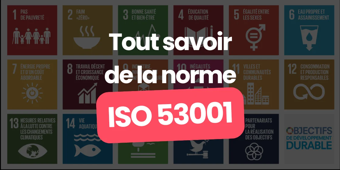 article carbo sur la norme iso pnud 53001